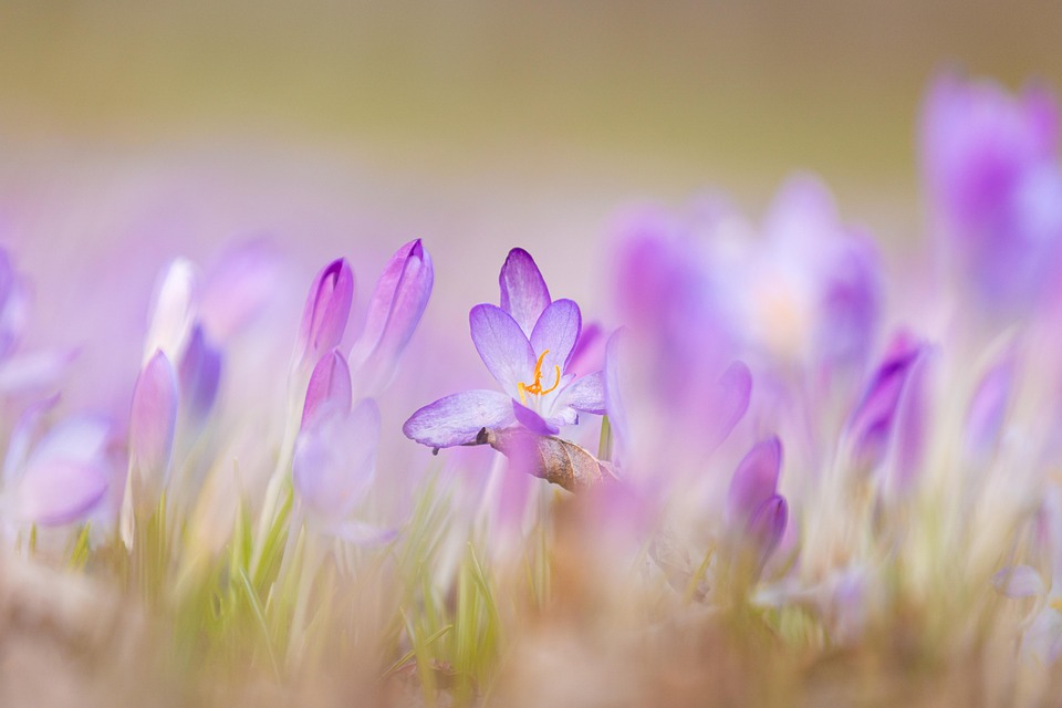 WordPress安全插件Wordfence安装激活及使用教程